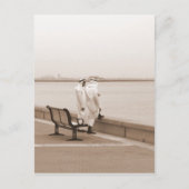 Talk, Mannen in Dishdasha in Koeweit Briefkaart (Voorkant)