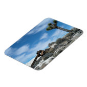 Talk Mine Ruïnes met Joshua Tree Magneet (Linkerzijde)