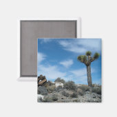 Talk Mine Ruïnes met Joshua Tree Magneet (Voorkant / Achterkant)