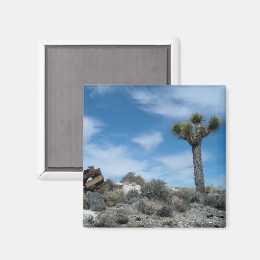 Talk Mine Ruïnes met Joshua Tree Magneet (Voorkant / Achterkant)