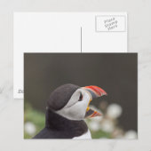 Talkative Puffin uit Skomer Briefkaart (Voorkant / Achterkant)