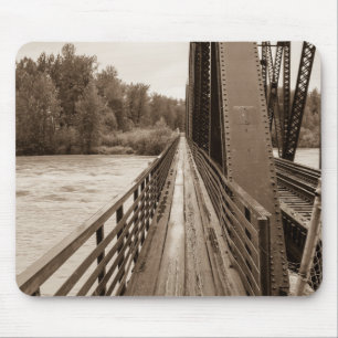 Talkeetna Railroad Bridge Walkway Muismat