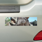 Talking Brown Horse Bumpersticker (Op auto)