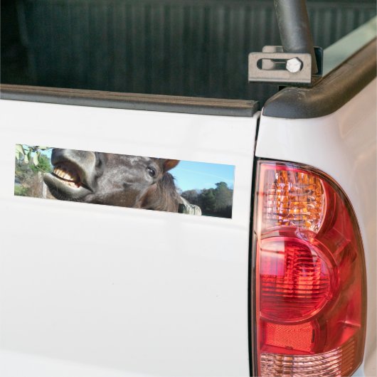 Talking Brown Horse Bumpersticker (Op Truck)