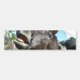 Talking Brown Horse Bumpersticker