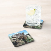 Talking Brown Horse Drankjes Onderzetter (Rechterzijde)