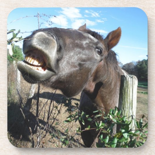 Talking Brown Horse Drankjes Onderzetter (Voorkant)