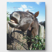 Talking Brown Horse Fotoplaat (Voorkant)