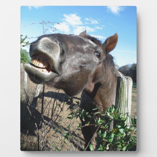 Talking Brown Horse Fotoplaat (Voorkant)