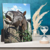 Talking Brown Horse Fotoplaat (Zijkant)