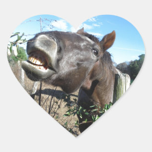 Talking Brown Horse Hart Sticker
