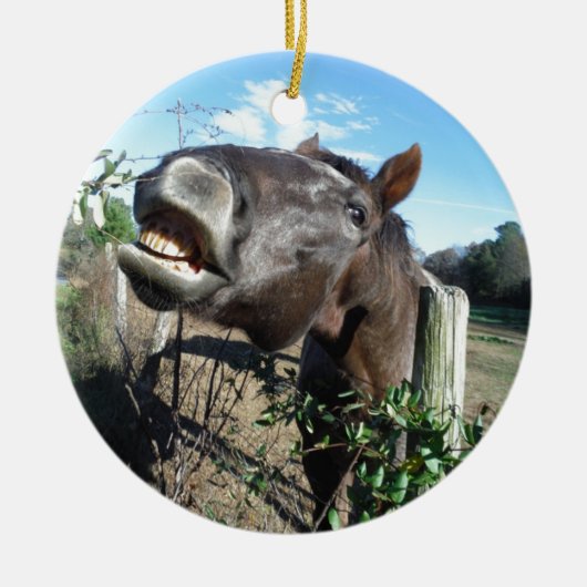 Talking Brown Horse Keramisch Ornament (Voorkant)