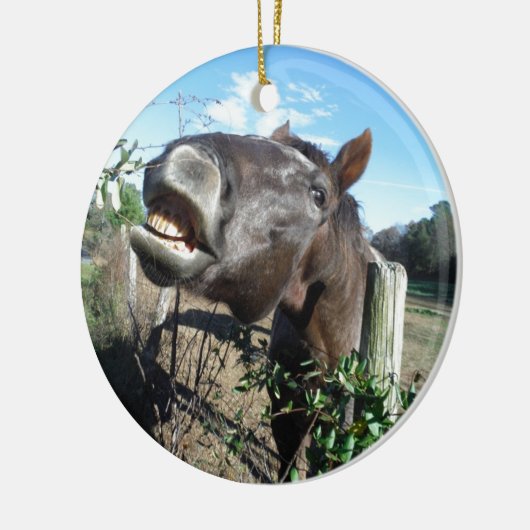 Talking Brown Horse Keramisch Ornament (Links)