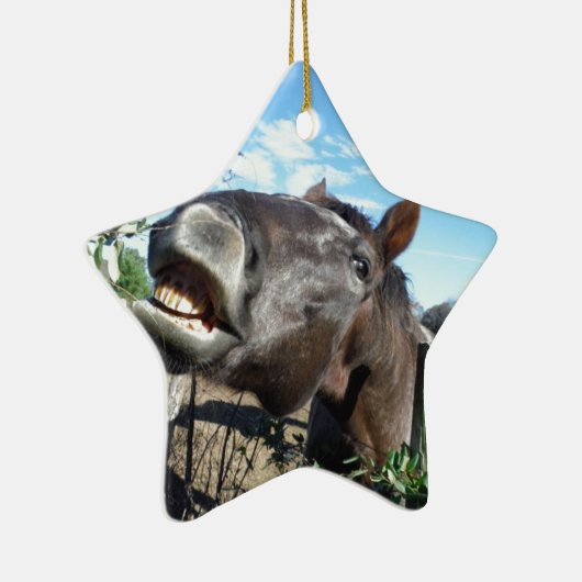 Talking Brown Horse Keramisch Ornament (Rechts)