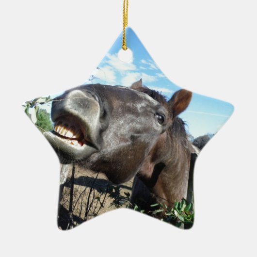 Talking Brown Horse Keramisch Ornament (Voorkant)