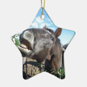 Talking Brown Horse Keramisch Ornament (Links)