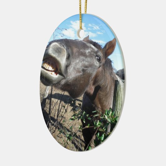 Talking Brown Horse Keramisch Ornament (Links)
