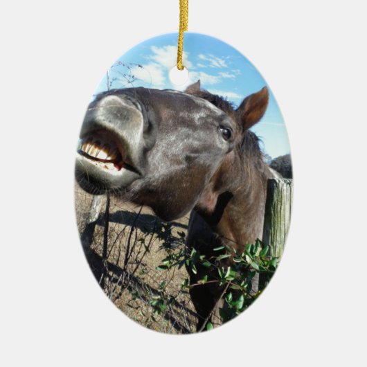 Talking Brown Horse Keramisch Ornament (Voorkant)