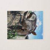 Talking Brown Horse Legpuzzel (Horizontaal)