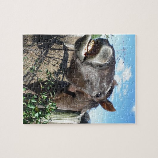 Talking Brown Horse Legpuzzel (Horizontaal)