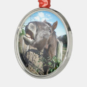 Talking Brown Horse Metalen Ornament (Links)