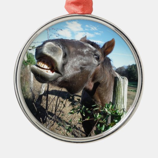 Talking Brown Horse Metalen Ornament (Voorkant)