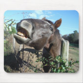 Talking Brown Horse Muismat (Voorkant)