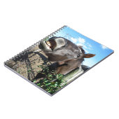 Talking Brown Horse Notitieboek (Linkerzijde)