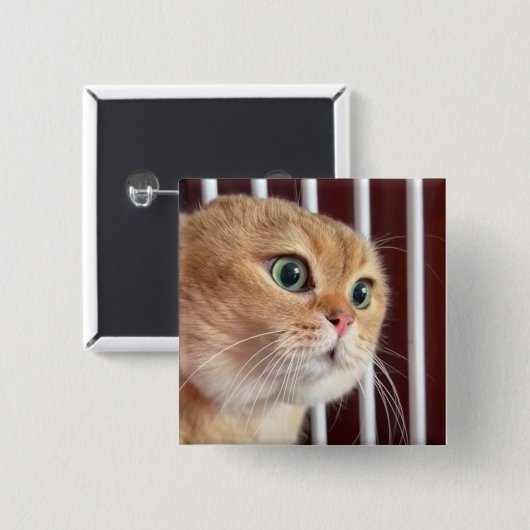 Talking Cats Meme Pin Button (Voorkant /achterkant)