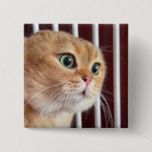 Talking Cats Meme Pin Button (Voorkant)
