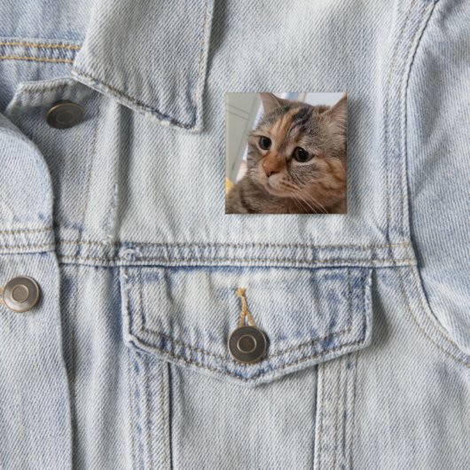 Talking Cats Meme Pin Button (In situ)