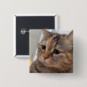 Talking Cats Meme Pin Button