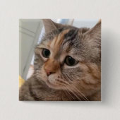 Talking Cats Meme Pin Button (Voorkant)