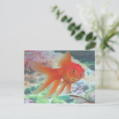 Talking Goldfish Briefkaart (Staand voorkant)