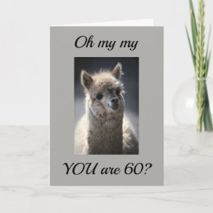 **TALKING LLAMA** GREETING" FOR "60th" BIRTHDAY Kaart