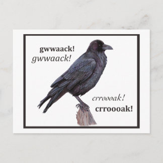 Talking Raven Greeting Briefkaart