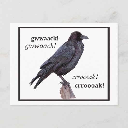 Talking Raven Greeting Briefkaart (Voorkant)