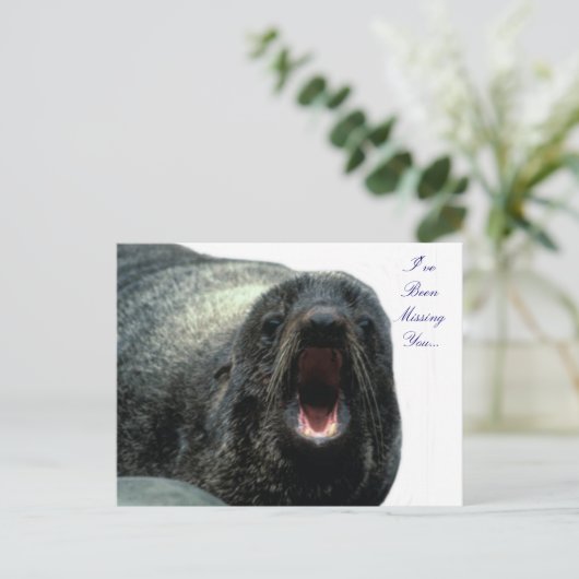 Talking Seal briefkaart (Staand voorkant)