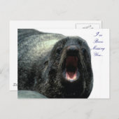 Talking Seal briefkaart (Voorkant / Achterkant)