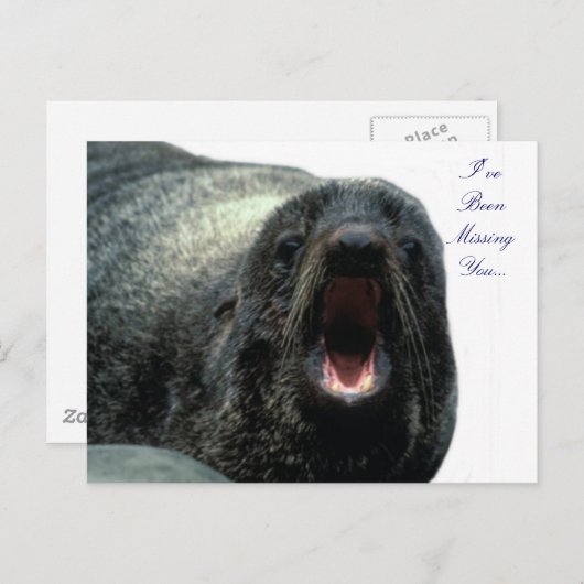Talking Seal briefkaart (Voorkant / Achterkant)
