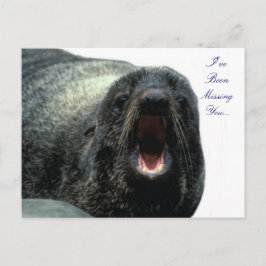 Talking Seal briefkaart