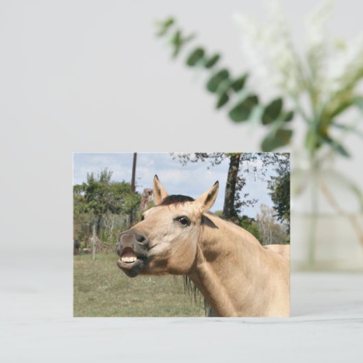 Talkpaard Briefkaart (Staand voorkant)