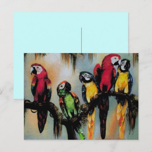 Talkparrots ~ Briefkaart Bird Natuur Wild (Voorkant / Achterkant)