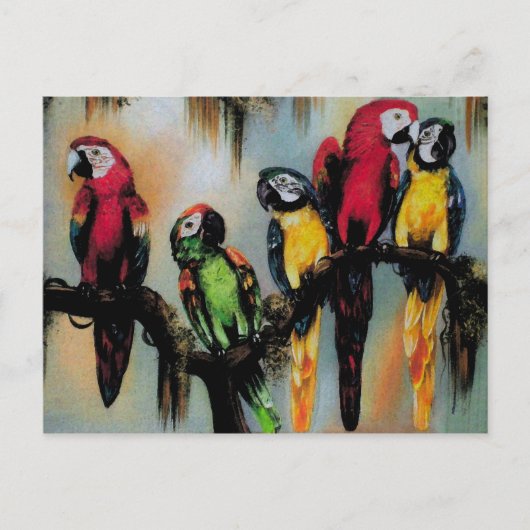 Talkparrots ~ Briefkaart Bird Natuur Wild (Voorkant)