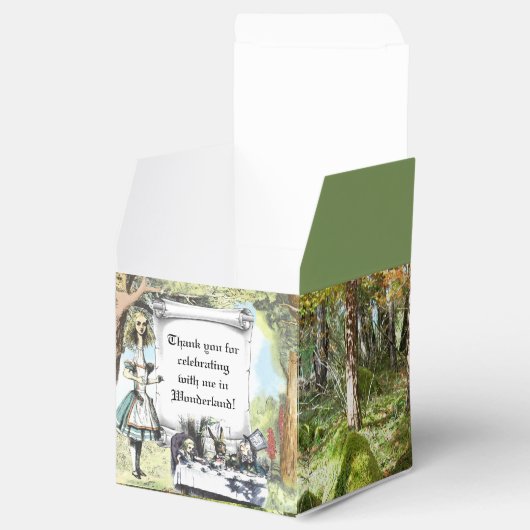 Tall Alice 1 Bedankdoosjes (Geopend)