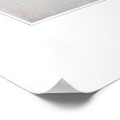 Tall Anemone, Thimbleweed, Anemone virginiana Poster (Hoek)