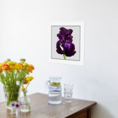 Tall Bearded Iris Folie Text Print Poster (Laag (Keuken))