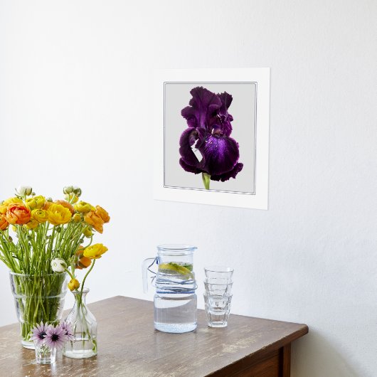 Tall Bearded Iris Folie Text Print Poster (Laag (Keuken))