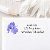 Tall Bearded Paars Iris Etiket (Insitu)