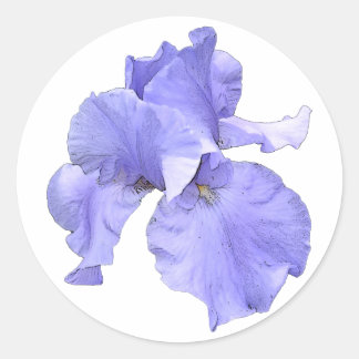 Tall Bearded Paars Iris Ronde Sticker